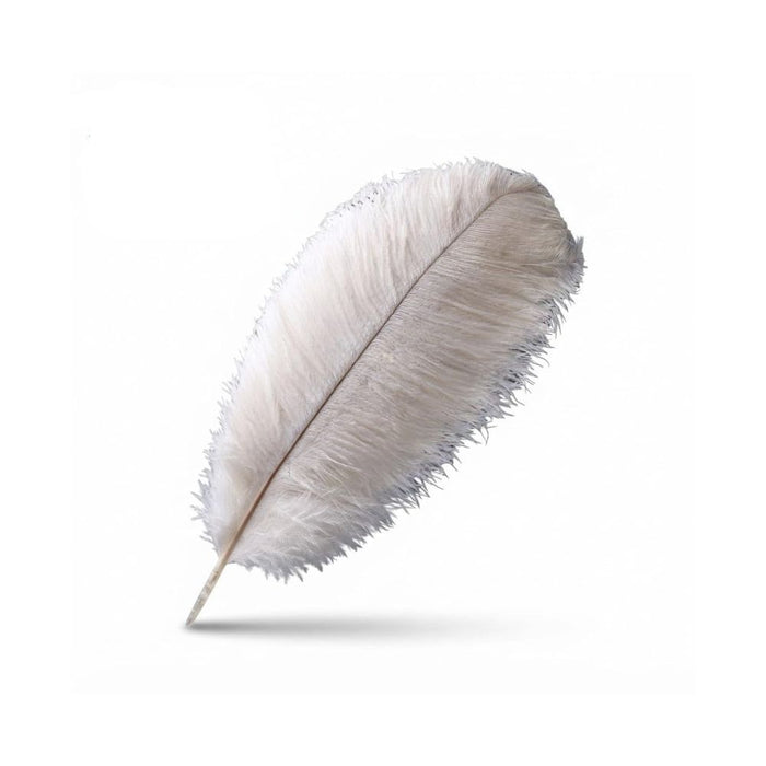5 PCS Natural Ostrich Feathers