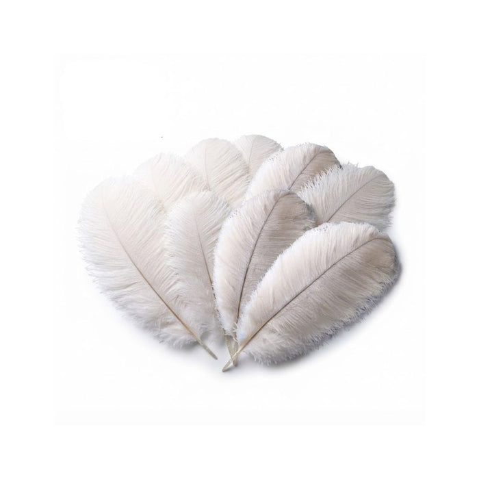 5 PCS Natural Ostrich Feathers